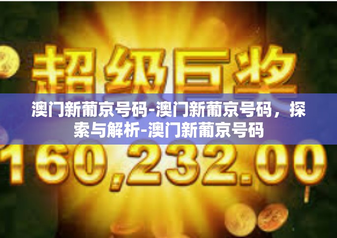 澳门新葡京号码-澳门新葡京号码，探索与解析-澳门新葡京号码