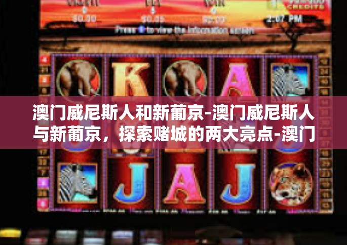 澳门威尼斯人和新葡京-澳门威尼斯人与新葡京，探索赌城的两大亮点-澳门威尼斯人和新葡京