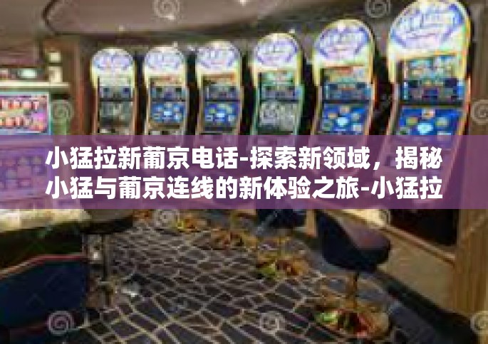 小猛拉新葡京电话-探索新领域，揭秘小猛与葡京连线的新体验之旅-小猛拉新葡京电话