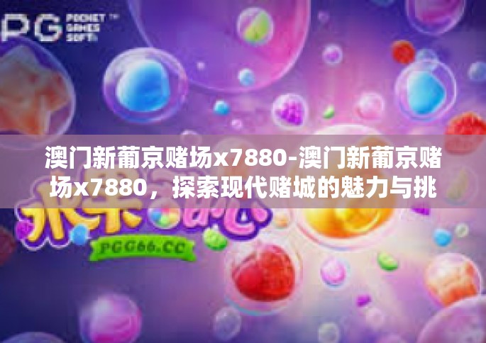 澳门新葡京赌场x7880-澳门新葡京赌场x7880，探索现代赌城的魅力与挑战-澳门新葡京赌场x7880