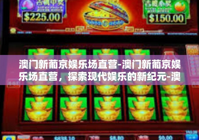 澳门新葡京娱乐场直营-澳门新葡京娱乐场直营，探索现代娱乐的新纪元-澳门新葡京娱乐场直营