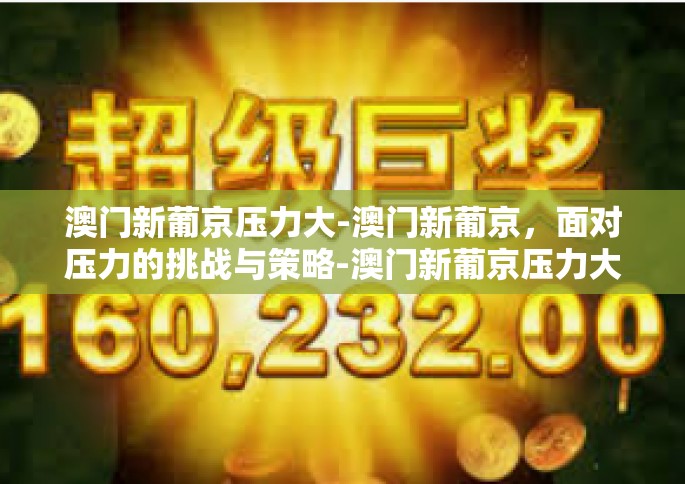 澳门新葡京压力大-澳门新葡京，面对压力的挑战与策略-澳门新葡京压力大