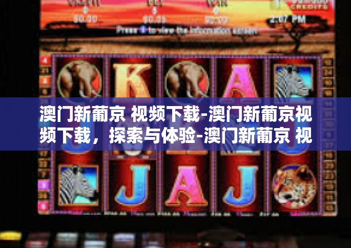 澳门新葡京 视频下载-澳门新葡京视频下载，探索与体验-澳门新葡京 视频下载