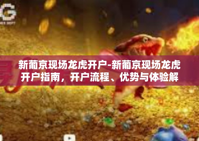新葡京现场龙虎开户-新葡京现场龙虎开户指南，开户流程、优势与体验解析-新葡京现场龙虎开户