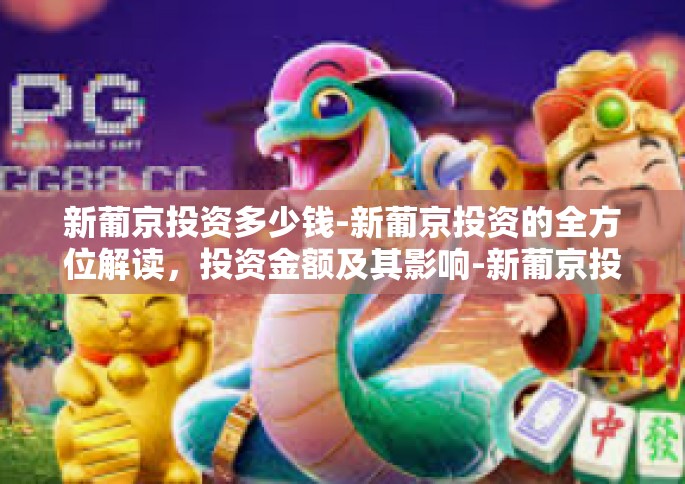 新葡京投资多少钱-新葡京投资的全方位解读，投资金额及其影响-新葡京投资多少钱
