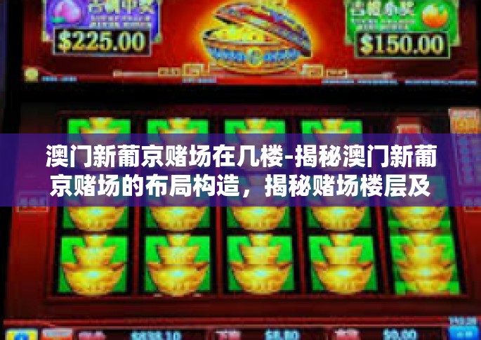 澳门新葡京赌场在几楼-揭秘澳门新葡京赌场的布局构造，揭秘赌场楼层及特色-澳门新葡京赌场在几楼