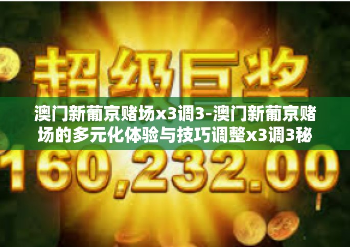 澳门新葡京赌场x3调3-澳门新葡京赌场的多元化体验与技巧调整x3调3秘籍解析-澳门新葡京赌场x3调3