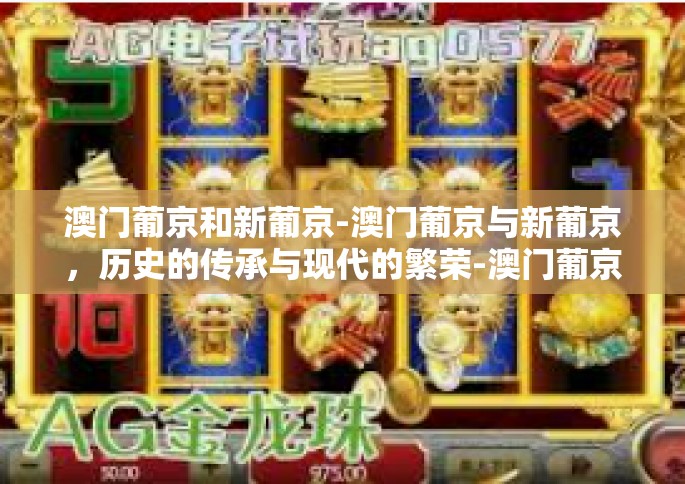 澳门葡京和新葡京-澳门葡京与新葡京，历史的传承与现代的繁荣-澳门葡京和新葡京