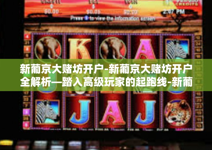 新葡京大赌坊开户-新葡京大赌坊开户全解析—踏入高级玩家的起跑线-新葡京大赌坊开户