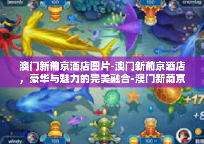 澳门新葡京酒店图片-澳门新葡京酒店，豪华与魅力的完美融合-澳门新葡京酒店图片